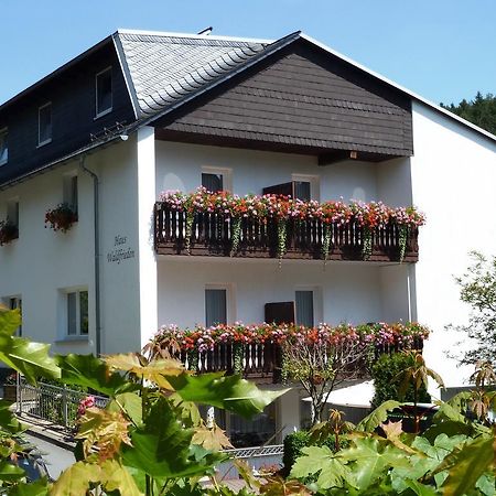 Pension Haus Waldfrieden, Meinecardplus Inklusive Willingen  Exteriör bild