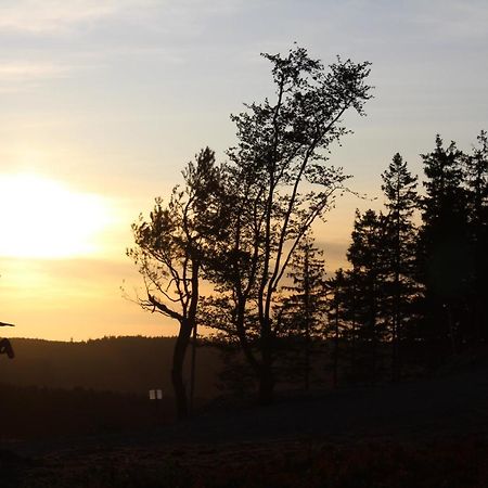 Pension Haus Waldfrieden, Meinecardplus Inklusive Willingen  Exteriör bild