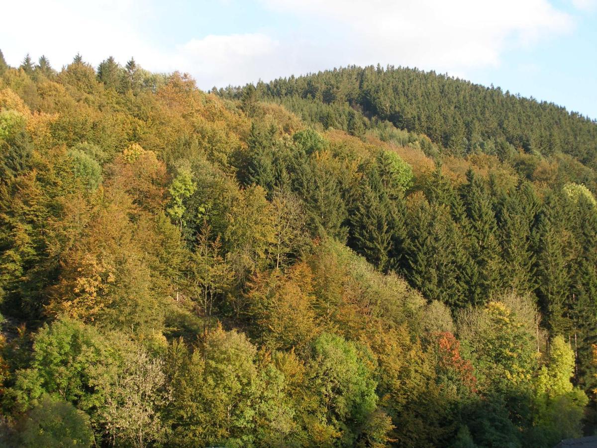 Pension Haus Waldfrieden, Meinecardplus Inklusive Willingen  Rum bild