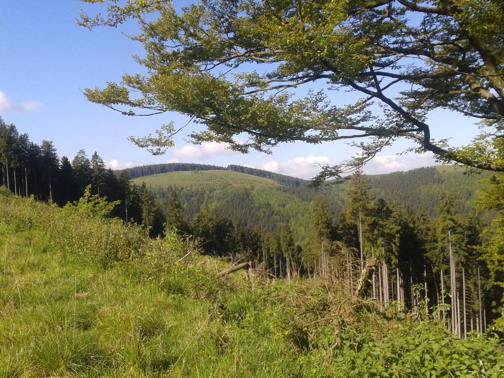 Pension Haus Waldfrieden, Meinecardplus Inklusive Willingen  Exteriör bild
