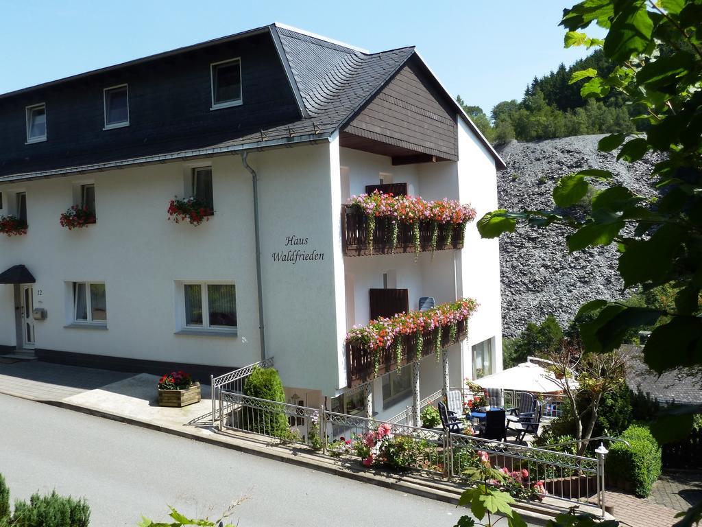 Pension Haus Waldfrieden, Meinecardplus Inklusive Willingen  Exteriör bild