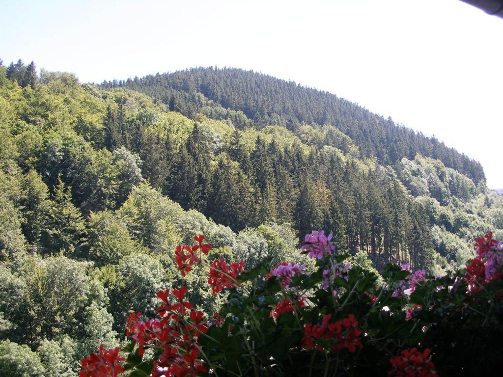 Pension Haus Waldfrieden, Meinecardplus Inklusive Willingen  Exteriör bild