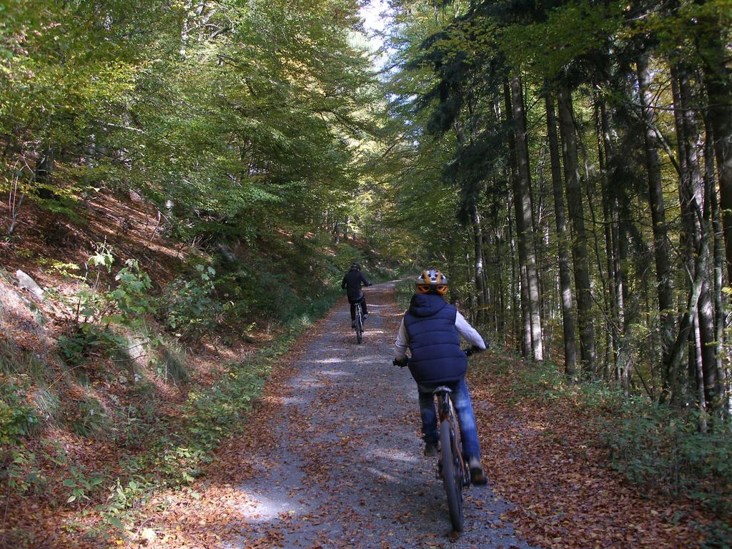 Pension Haus Waldfrieden, Meinecardplus Inklusive Willingen  Exteriör bild