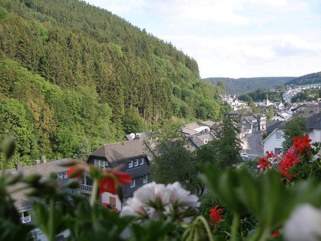 Pension Haus Waldfrieden, Meinecardplus Inklusive Willingen  Exteriör bild