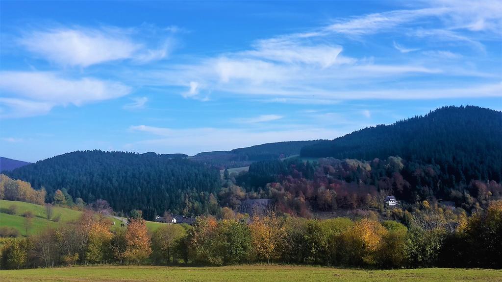 Pension Haus Waldfrieden, Meinecardplus Inklusive Willingen  Exteriör bild