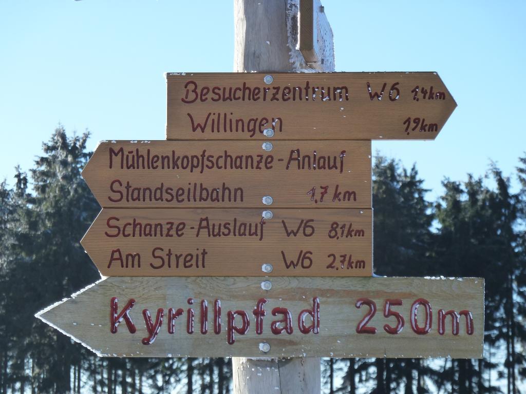 Pension Haus Waldfrieden, Meinecardplus Inklusive Willingen  Exteriör bild