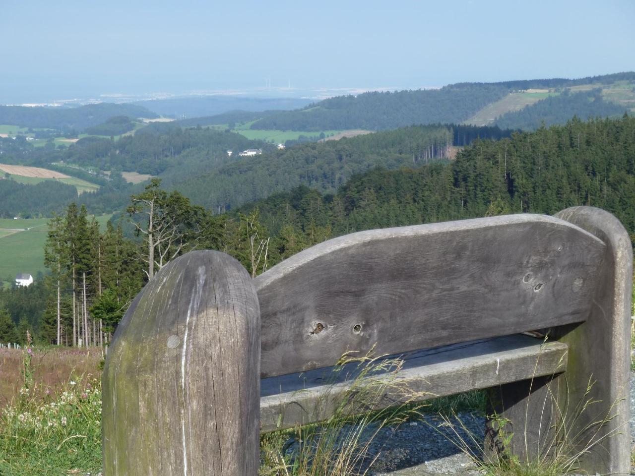 Pension Haus Waldfrieden, Meinecardplus Inklusive Willingen  Exteriör bild