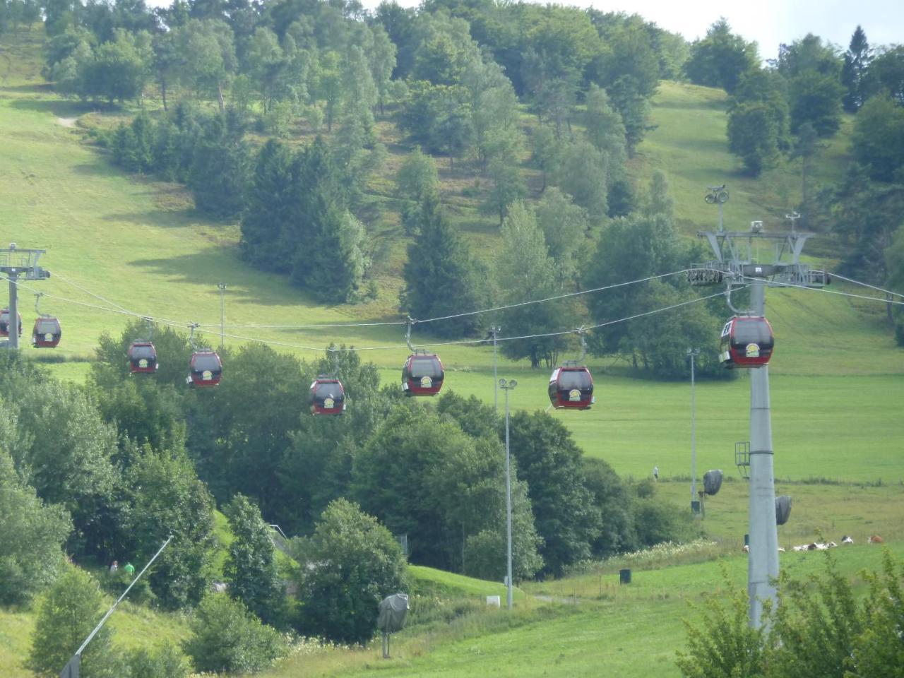 Pension Haus Waldfrieden, Meinecardplus Inklusive Willingen  Exteriör bild