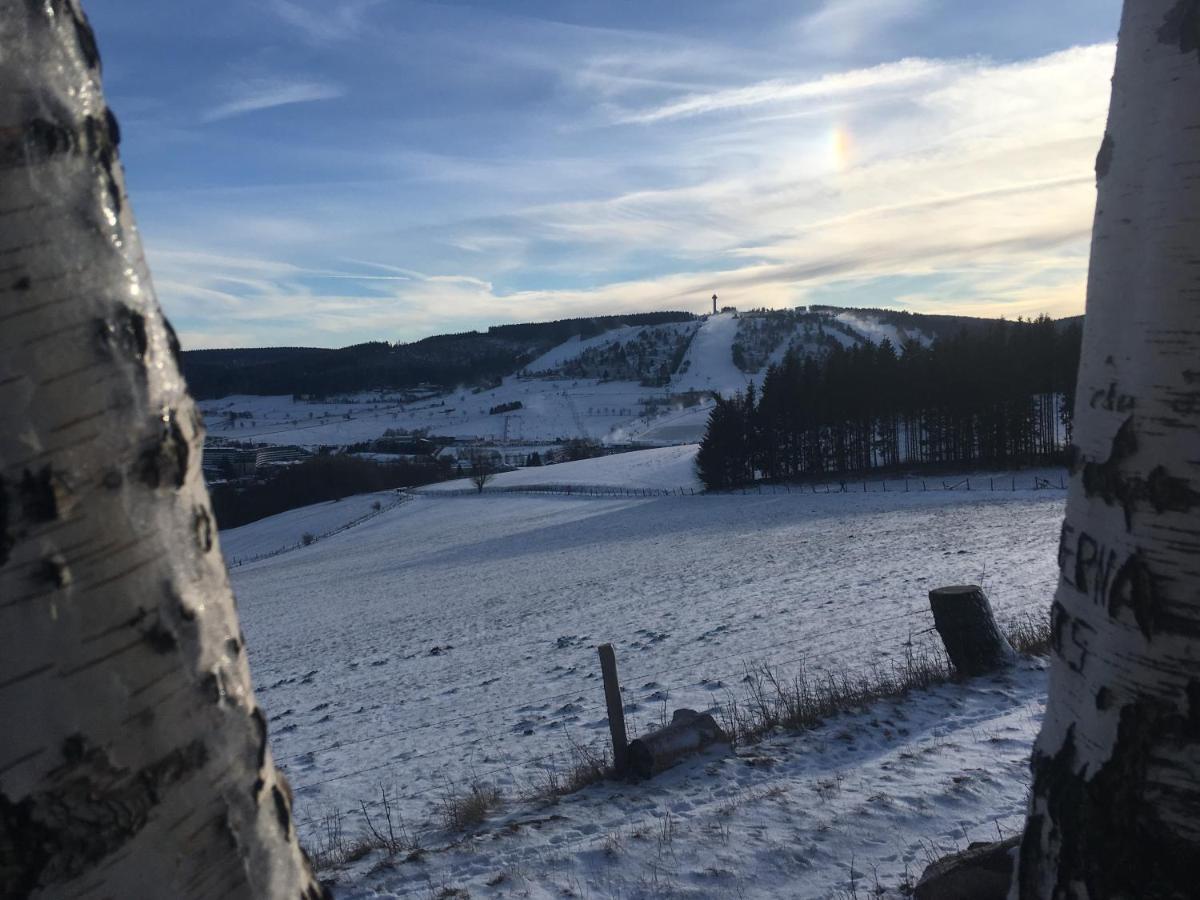 Pension Haus Waldfrieden, Meinecardplus Inklusive Willingen  Exteriör bild