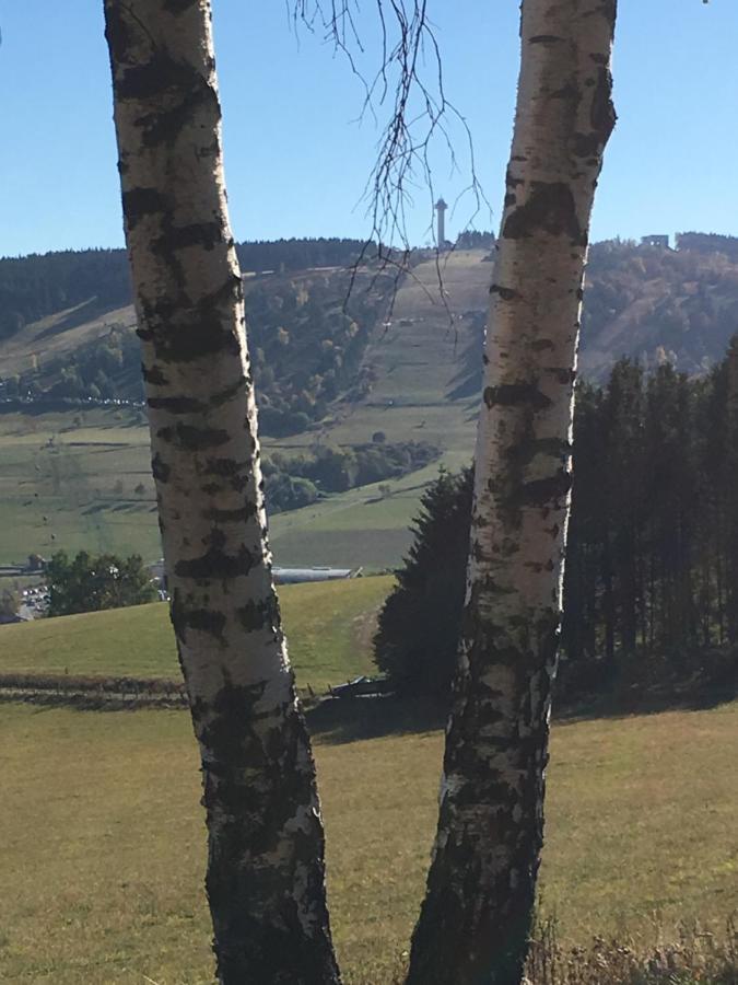 Pension Haus Waldfrieden, Meinecardplus Inklusive Willingen  Exteriör bild