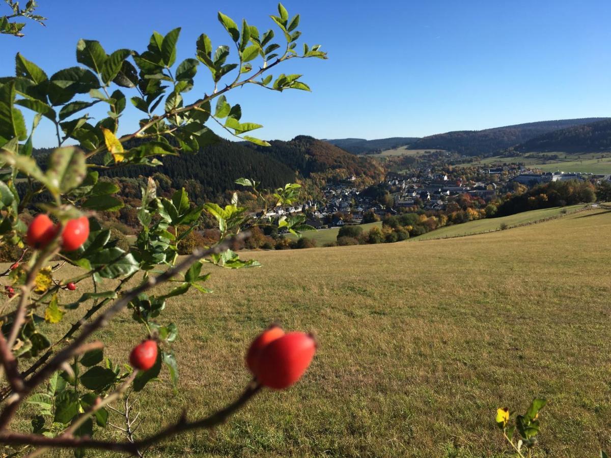Pension Haus Waldfrieden, Meinecardplus Inklusive Willingen  Exteriör bild