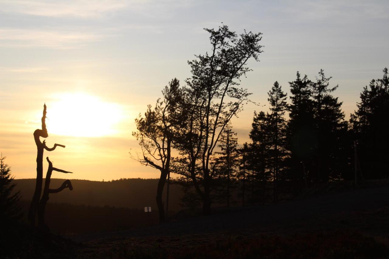 Pension Haus Waldfrieden, Meinecardplus Inklusive Willingen  Exteriör bild