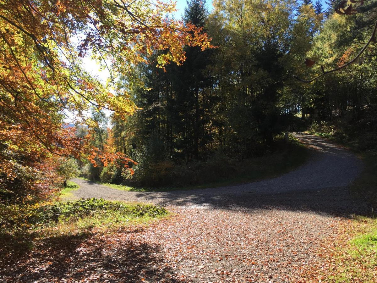 Pension Haus Waldfrieden, Meinecardplus Inklusive Willingen  Exteriör bild